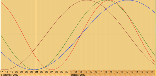 Biorhythms: How to Work With Your Personal Ups and Downs