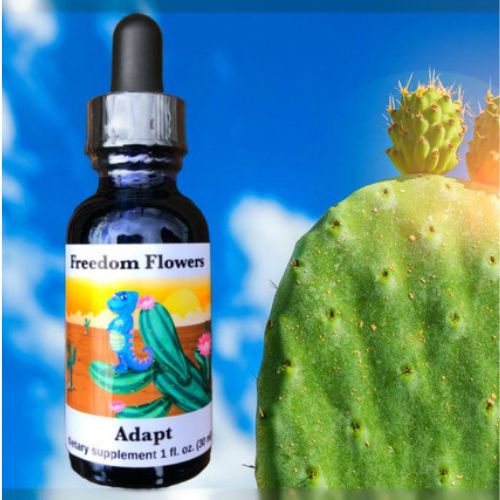 Adapt Flower Essence