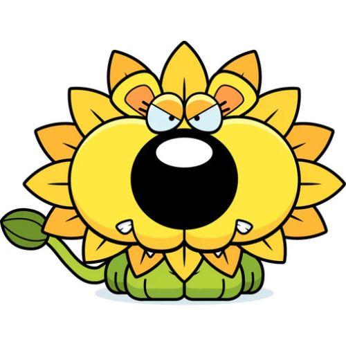 Anger Management Flower Essence