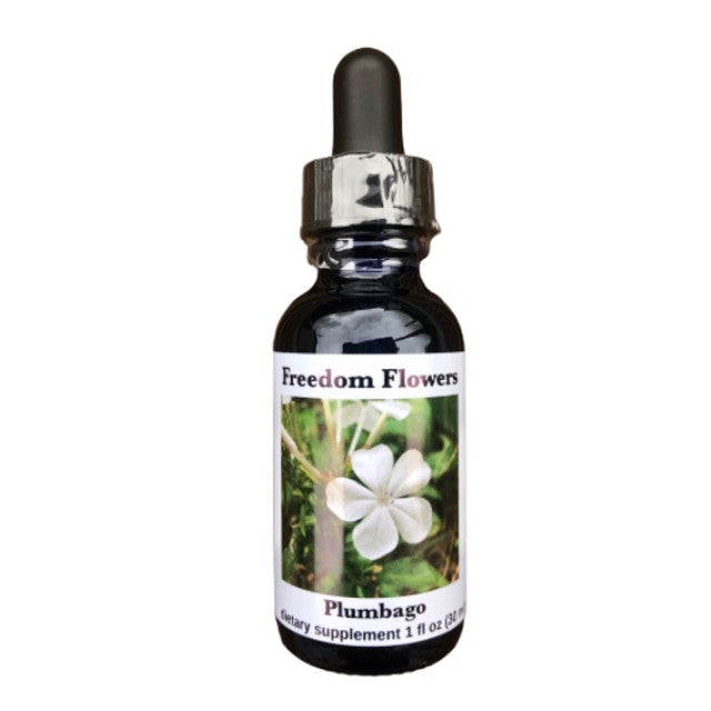 Plumbago Flower Essence
