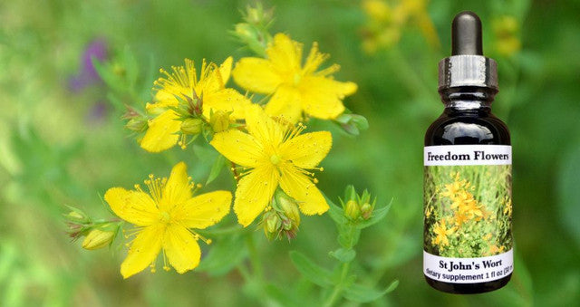 St. John's Wort Flower Essence
