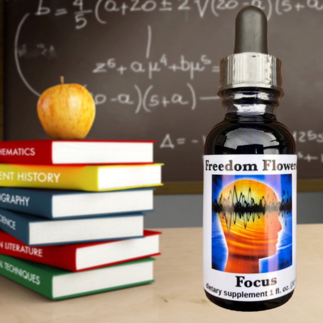 Focus Flower Essence