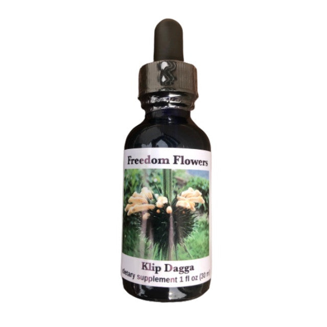 Klip Dagga Flower Essence