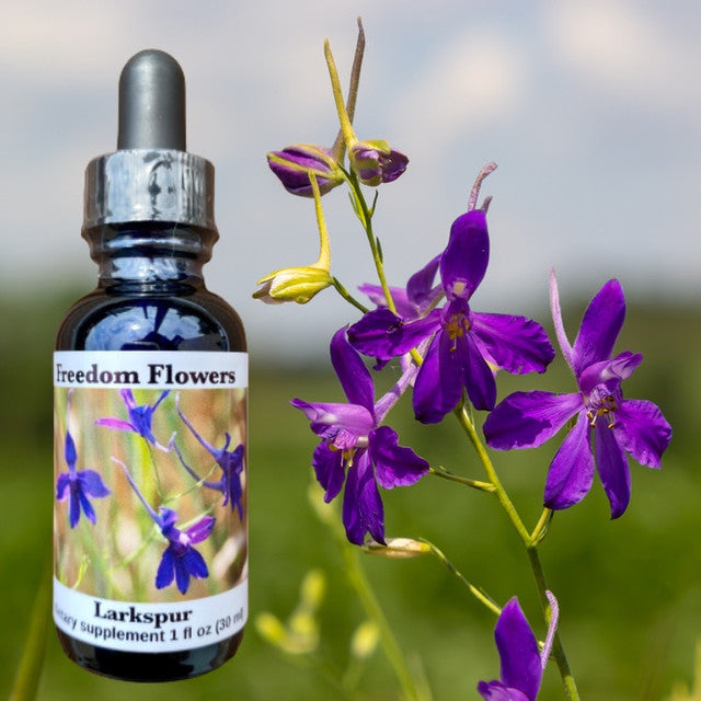 Larkspur Flower Essence