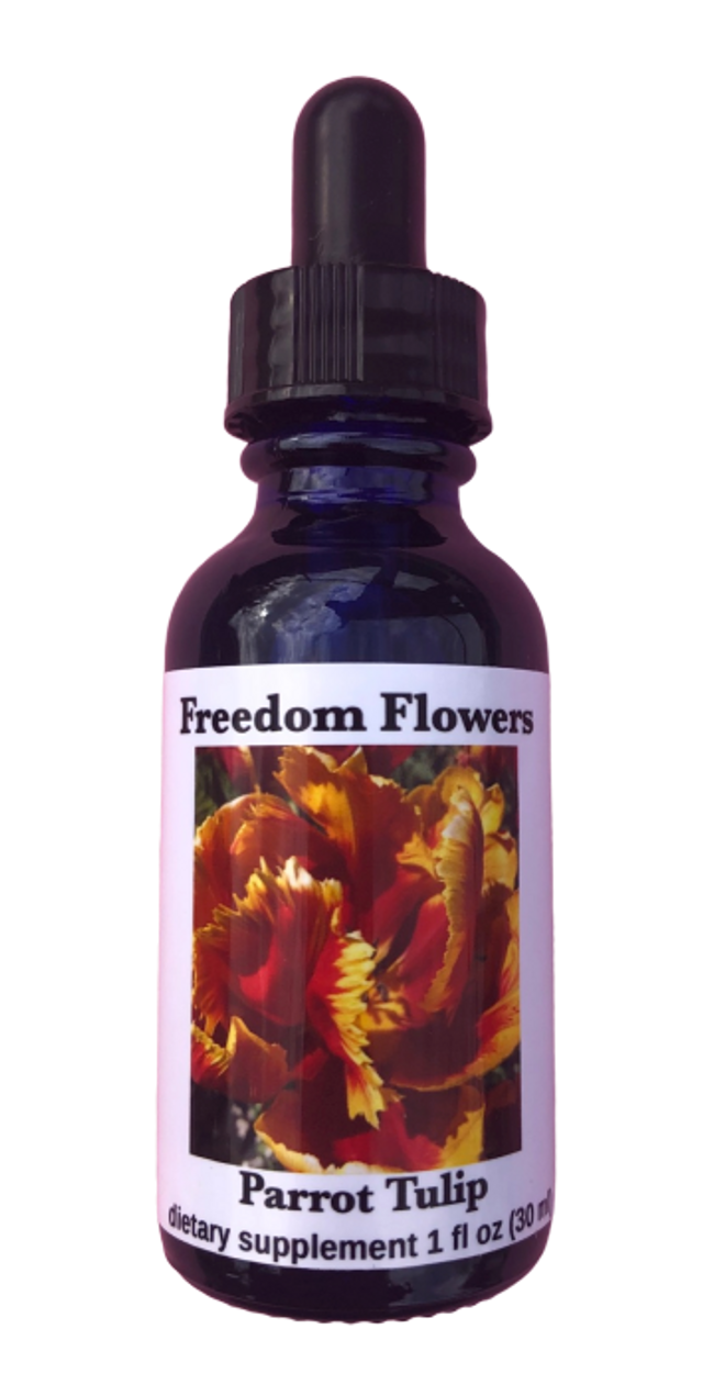 Parrot Tulip Flower Essence