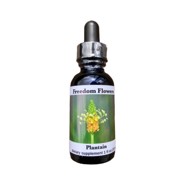 Plantain Flower Essence