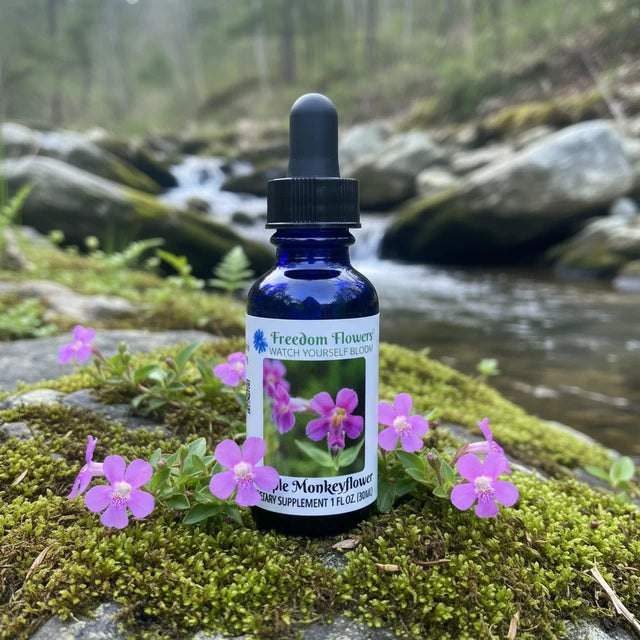 Purple Monkeyflower Flower Essence