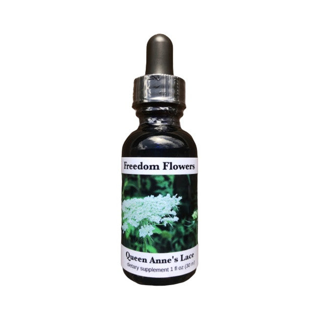 Queen Anne's Lace Flower Essence