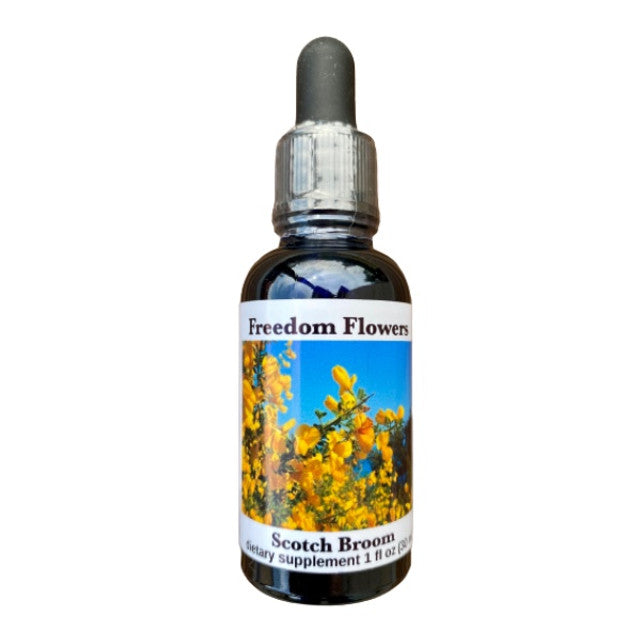 Scotch Broom Flower Essence