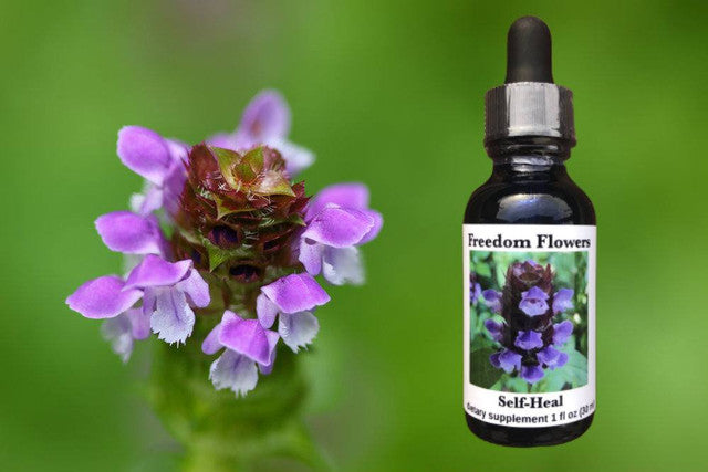 Self-Heal Flower Essence