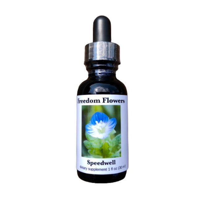 Speedwell Flower Essence
