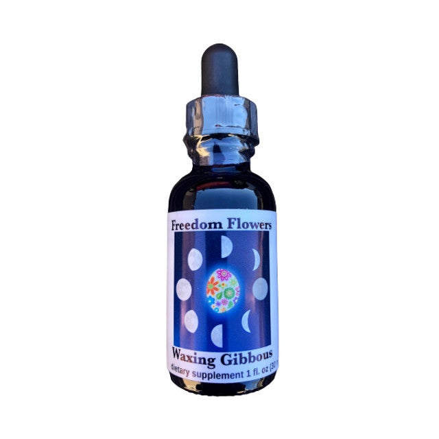 Waxing Gibbous Moon Phase Essence