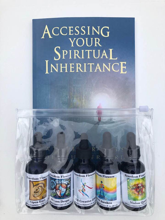 Spiritual Development Essence Kit