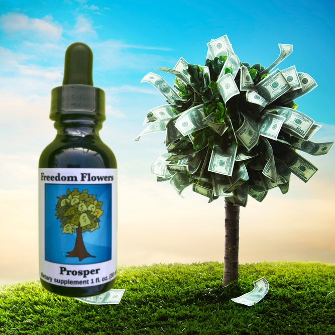 Prosper Flower Essence