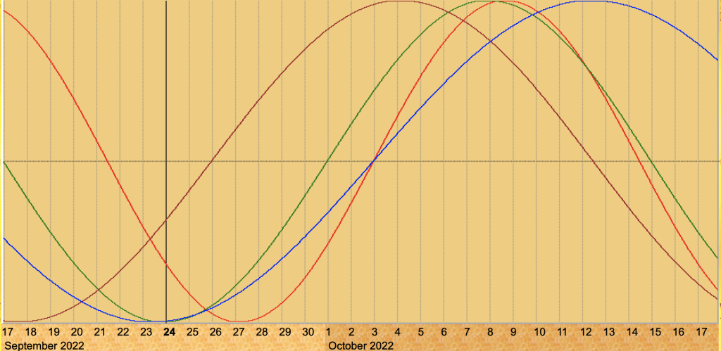 Biorhythms: How to Work With Your Personal Ups and Downs