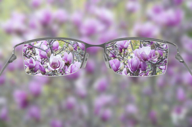 Reverse Myopia: A Holistic Approach to Nearsightedness