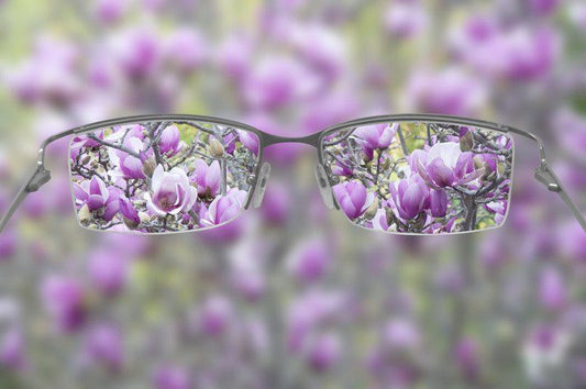 Reverse Myopia: A Holistic Approach to Nearsightedness