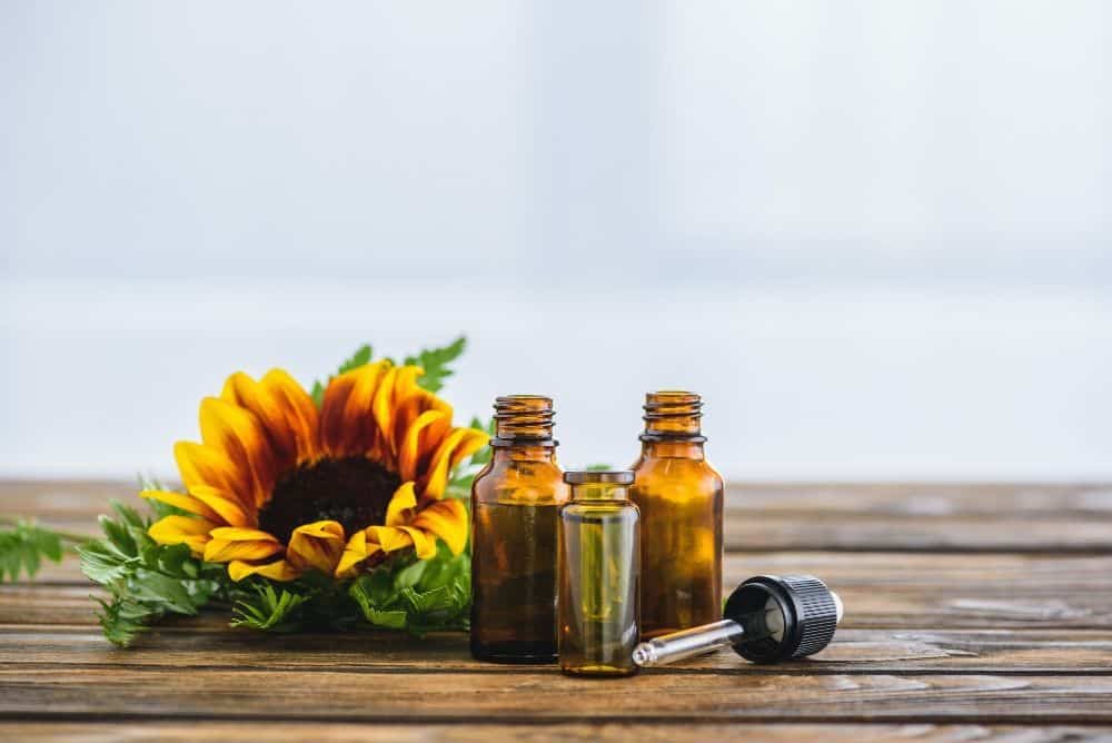 Balancing Deep Healing With Your Daily Needs