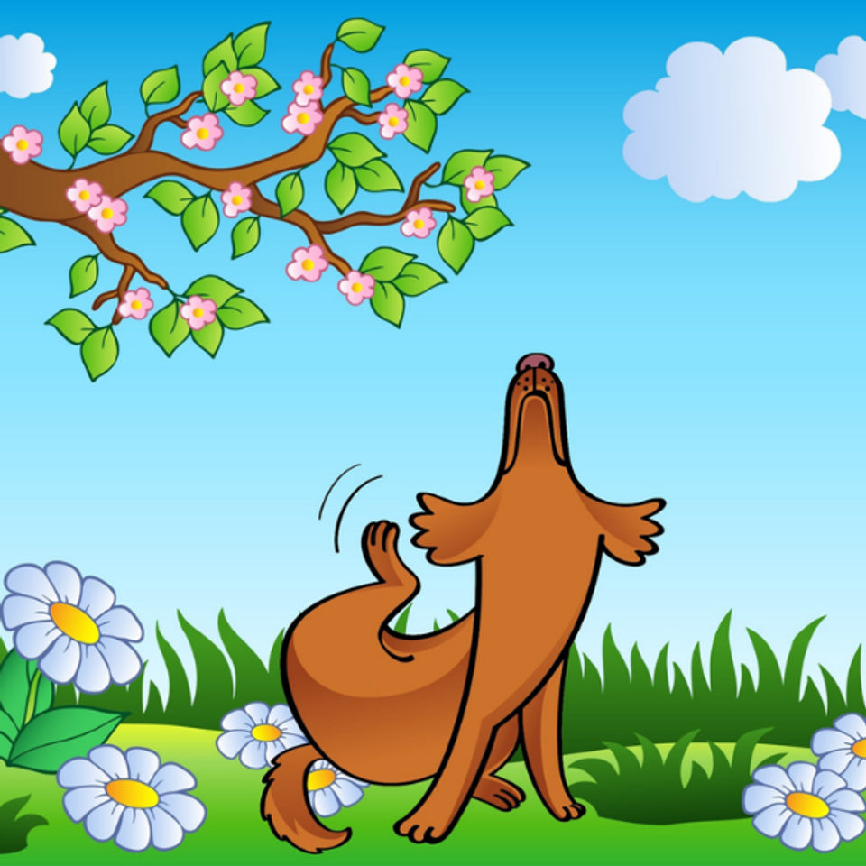 Allergies and Food Sensitivities