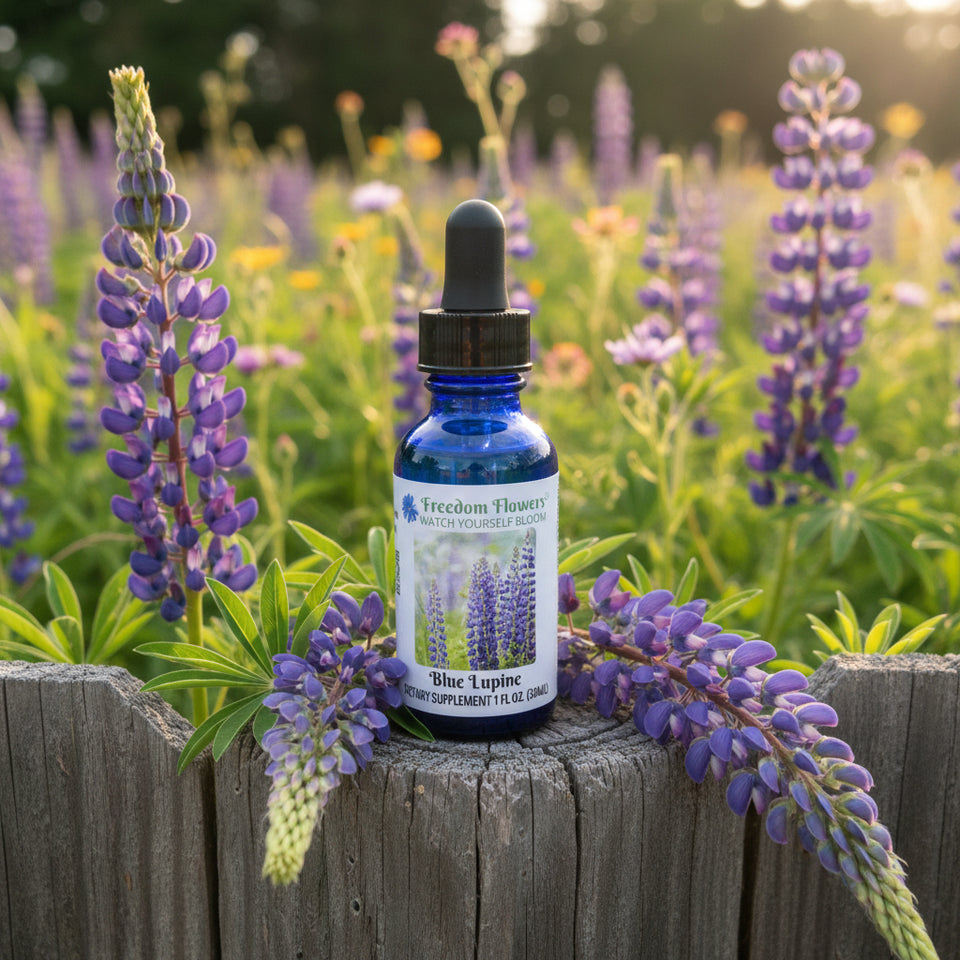 Blue Lupine Flower Essence