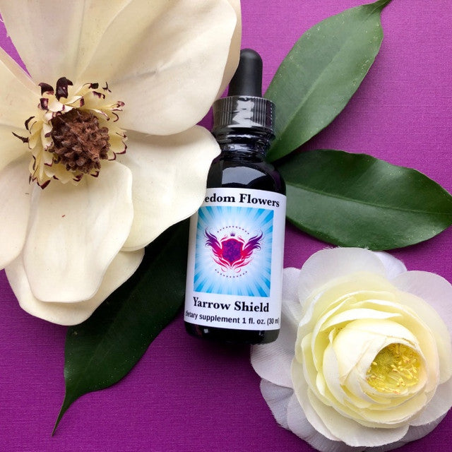 Yarrow Shield Flower Essence