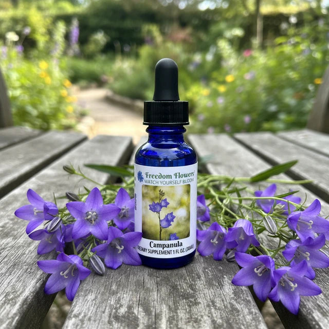 Campanula Flower Essence