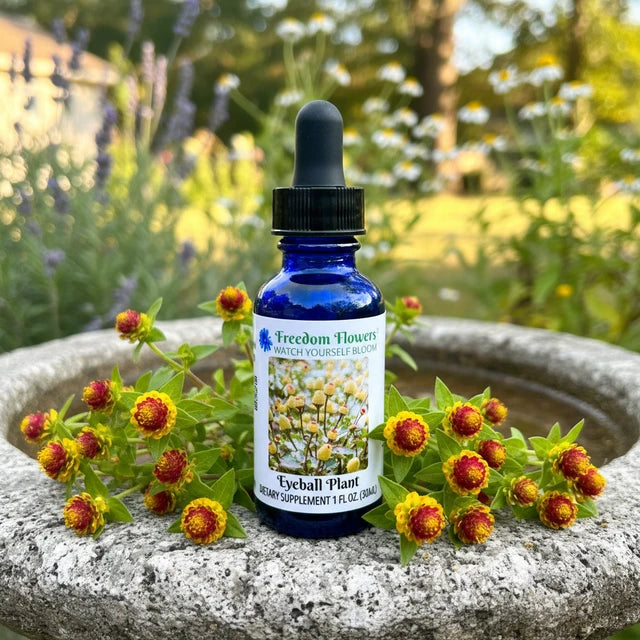 Eyeball Plant Flower Essence
