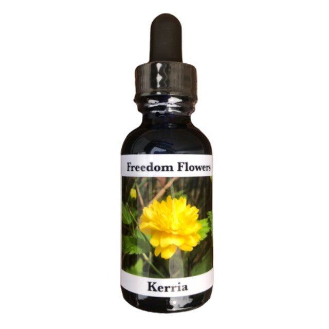 Kerria Flower Essence