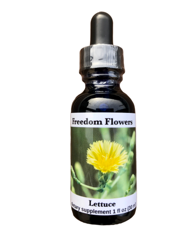 Lettuce Flower Essence