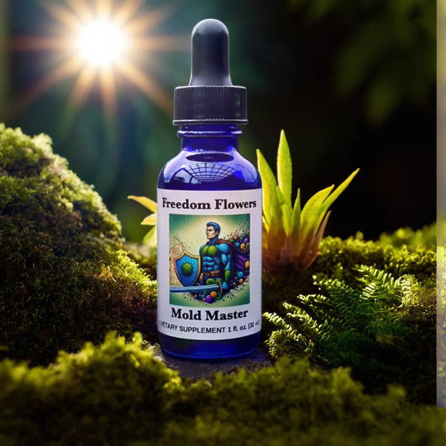Mold Master Bioessence