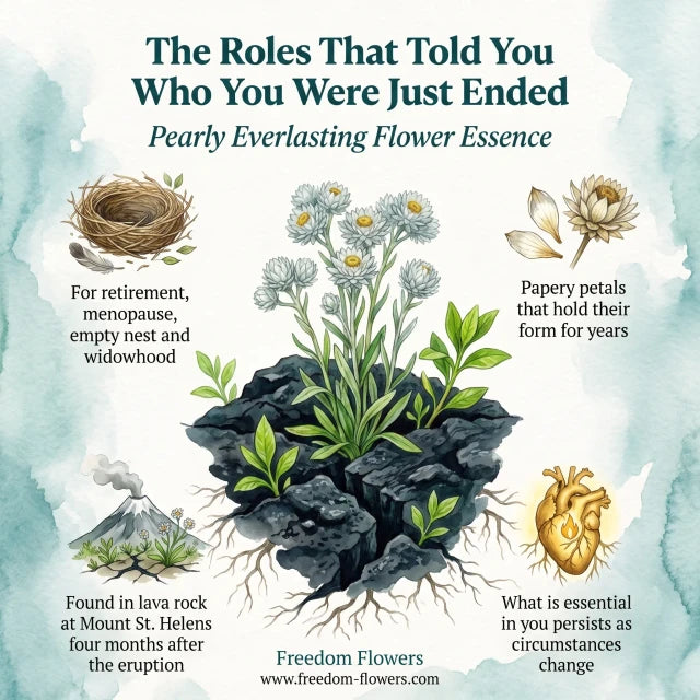 Pearly Everlasting Flower Essence