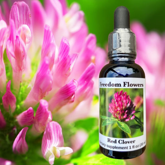 Red Clover Flower Essence