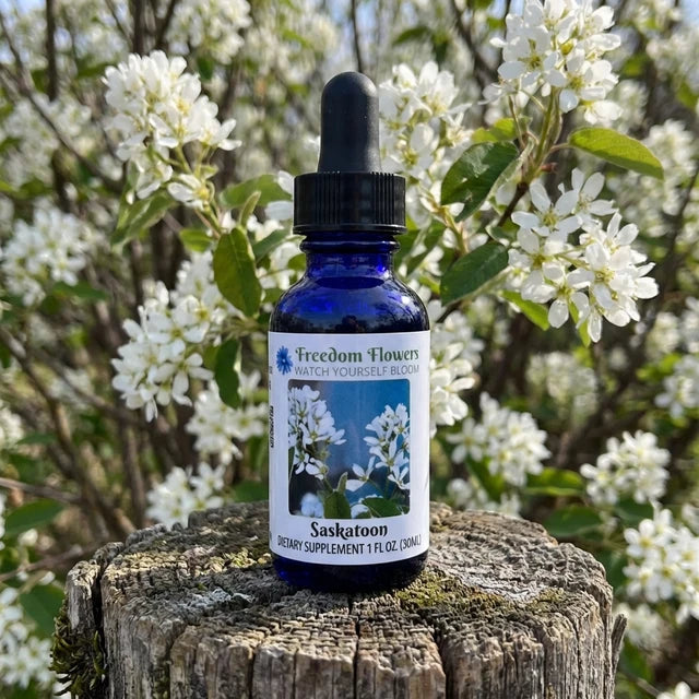 Saskatoon Flower Essence