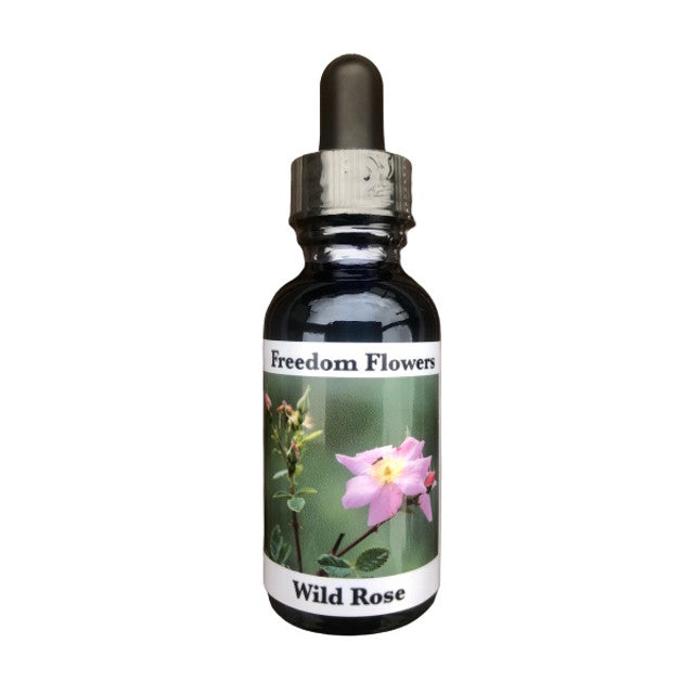 Wild Rose Flower Essence