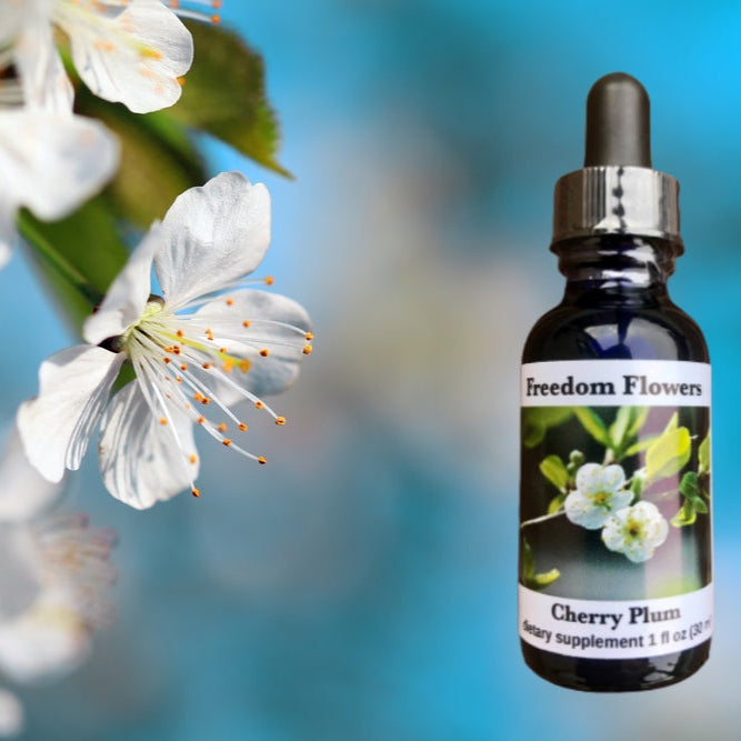 Cherry Plum Flower Essence