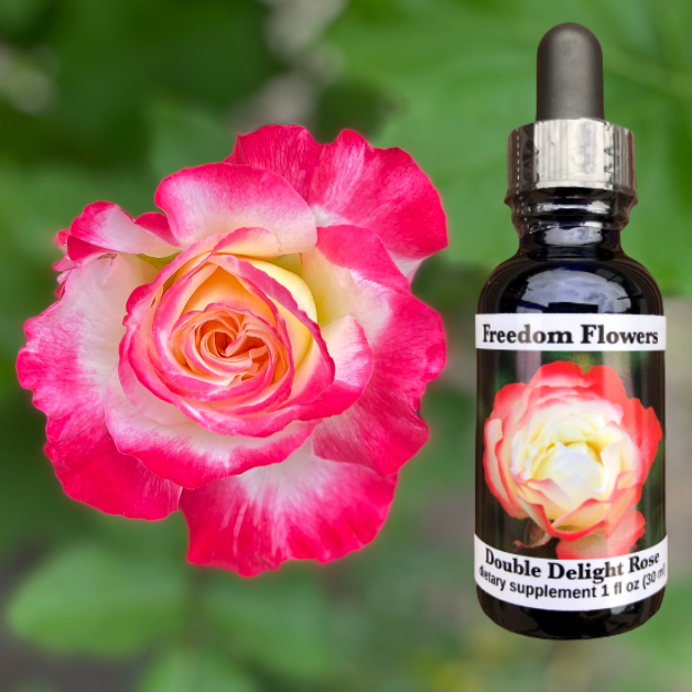 Double Delight Rose Flower Essence
