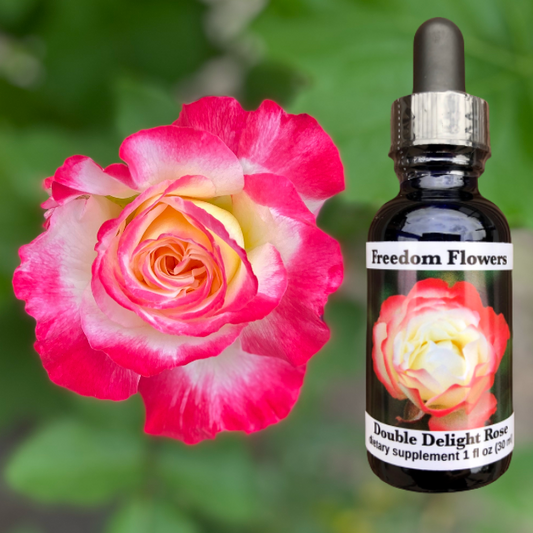 Double Delight Rose Flower Essence