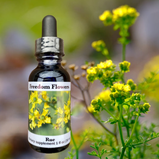Rue Flower Essence