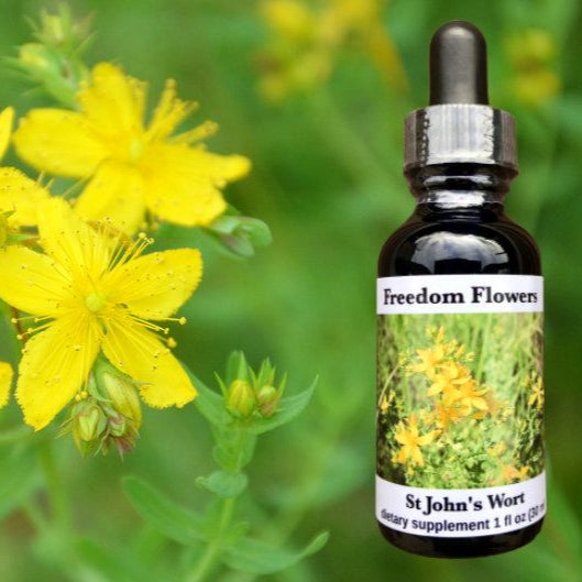 St. John's Wort Flower Essence