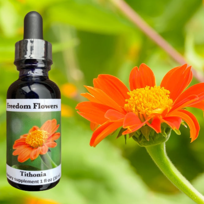 A bottle of Tithonia flower essence with a dropper, placed against a background featuring a vibrant orange flower.