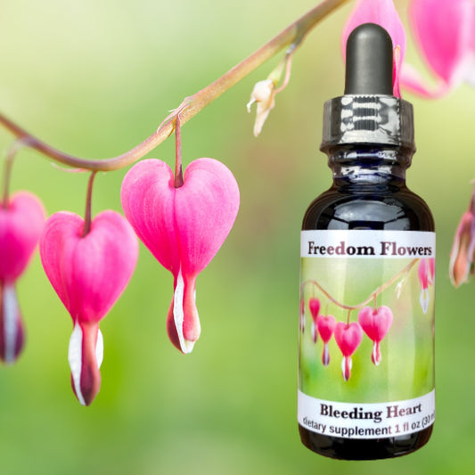 Bleeding Heart Flower Essence