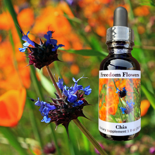 Chia Flower Essence