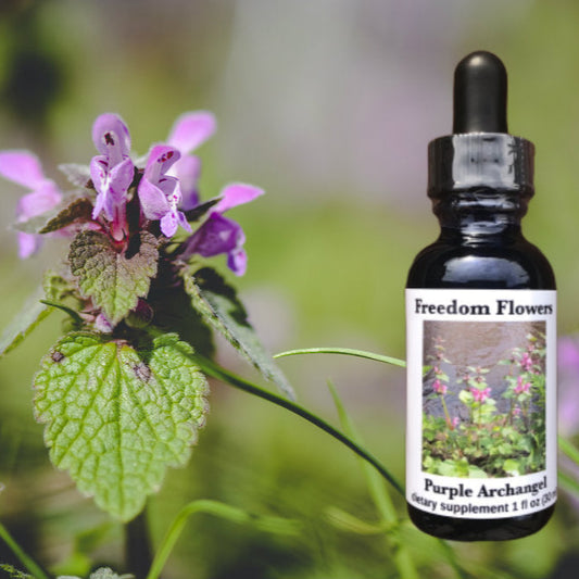 A stock strength bottle labeled 'Freedom Flowers Purple Archangel Flower Essence' with a dropper, placed on a blurred background of greenery and pink flowers.
