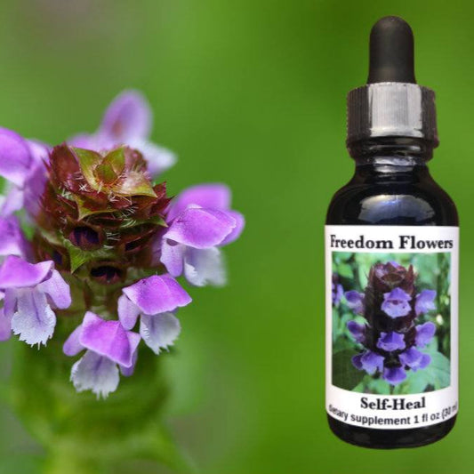 A bottle of Self-Heal flower essence with a dropper, alongside a close-up image of a purple flower.