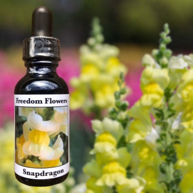 A bottle labeled 'Freedom Flowers Snapdragon' with a dropper, positioned in front of a background of yellow Snapdragon flowers.