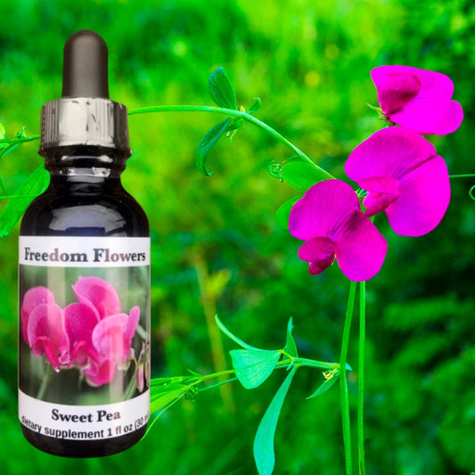 A bottle of Sweet Pea Flower Essence by Freedom Flowers, with an image of pink flowers in the background.