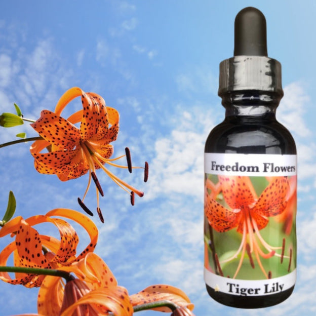 Tiger Lily Flower Essence