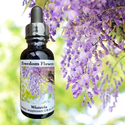 Wisteria Flower Essence